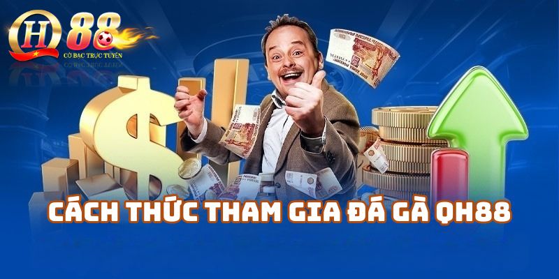 Cách Thức Tham Gia Đá Gà Qh88 Dành Cho Người Mới