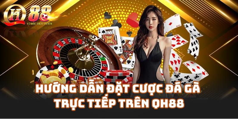 Hướng dẫn chơi và đặt cược đá gà trực tiếp trên QH88