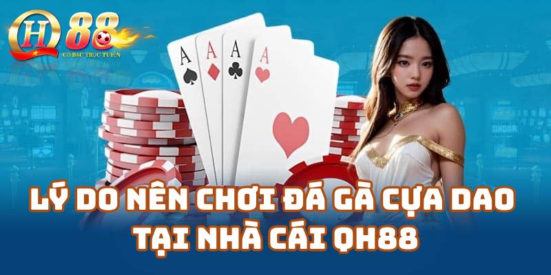 Lý do nên chơi đá gà cựa dao tại Nhà cái QH88