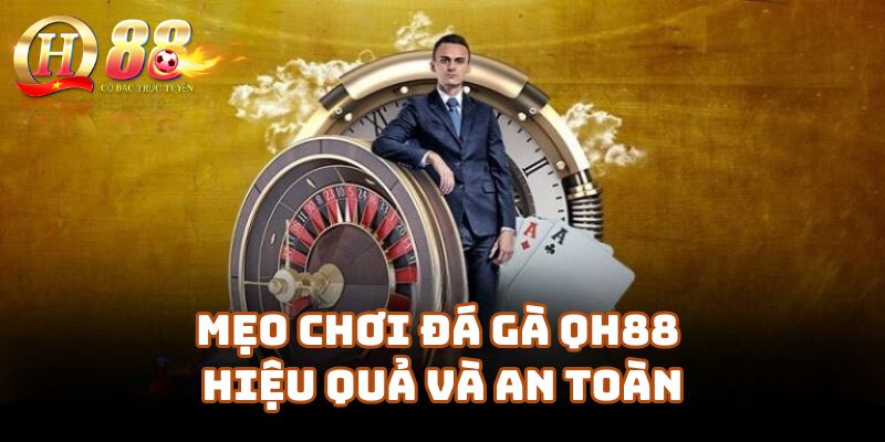 Mẹo Chơi Đá Gà Qh88 Hiệu Quả Và An Toàn
