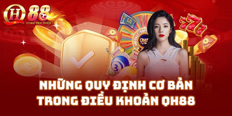 Những Quy Định Cơ Bản Trong Điều Khoản Qh88