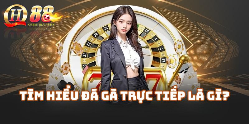 Tìm hiểu đá gà trực tiếp là gì?