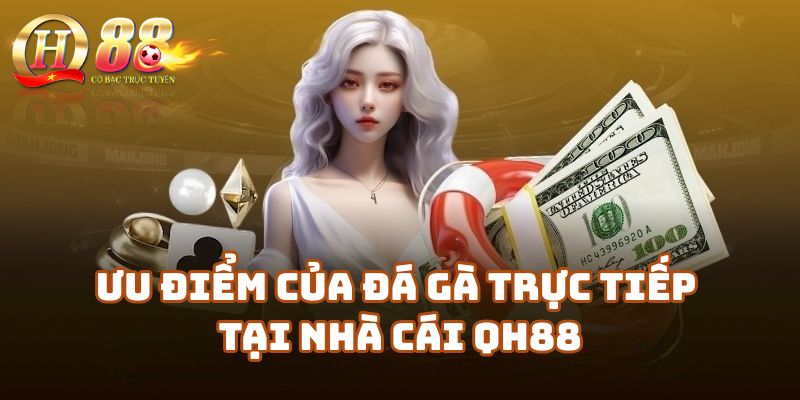 Ưu điểm của xem đá gà trực tiếp tại nhà cái QH88